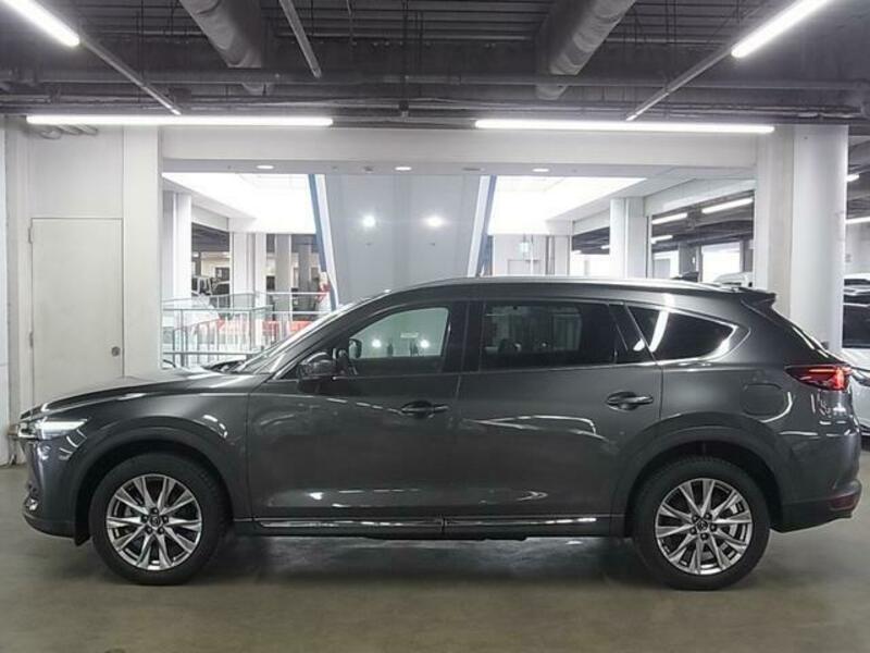 CX-8