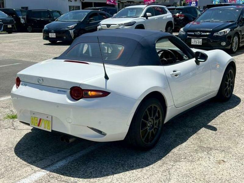ROADSTER