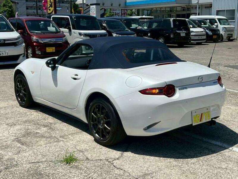 ROADSTER