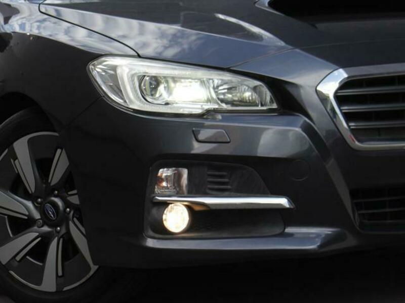 LEVORG