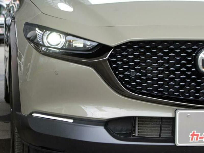CX-30