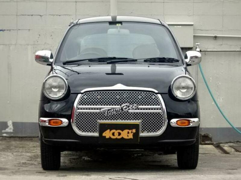 MINICA