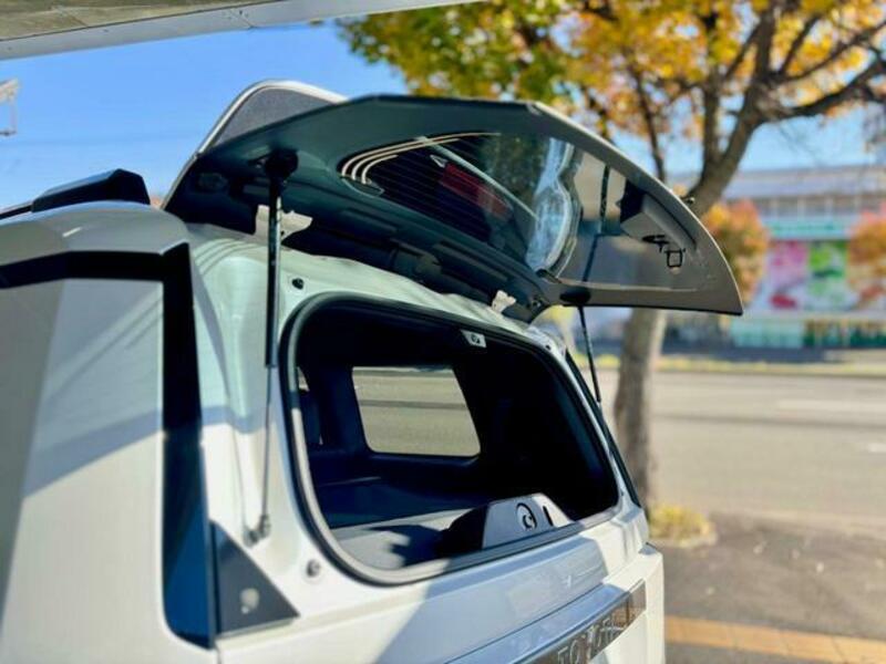 LAND CRUISER 250
