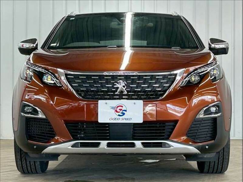 3008