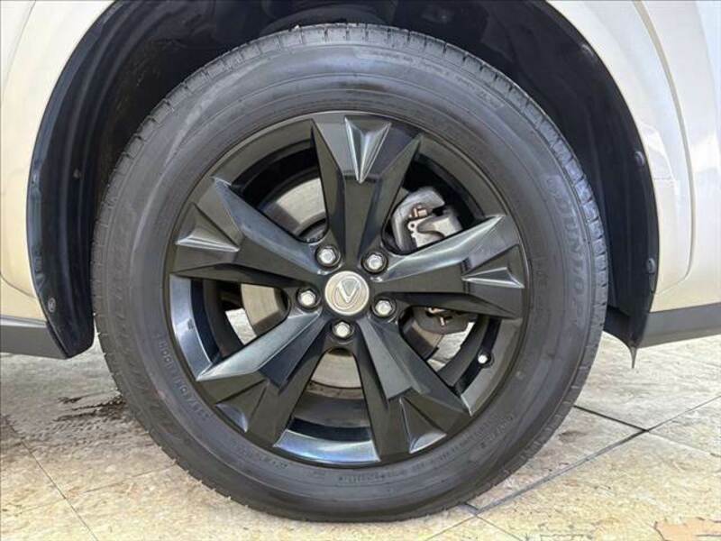 NX