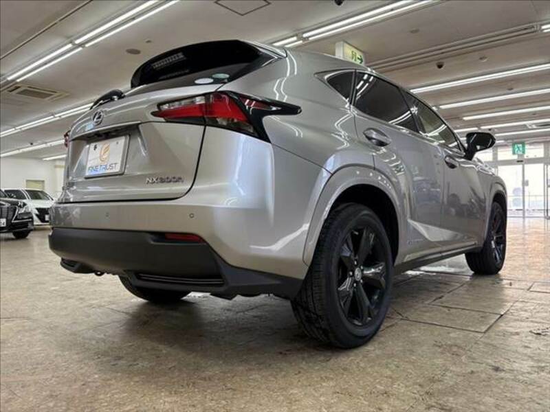NX