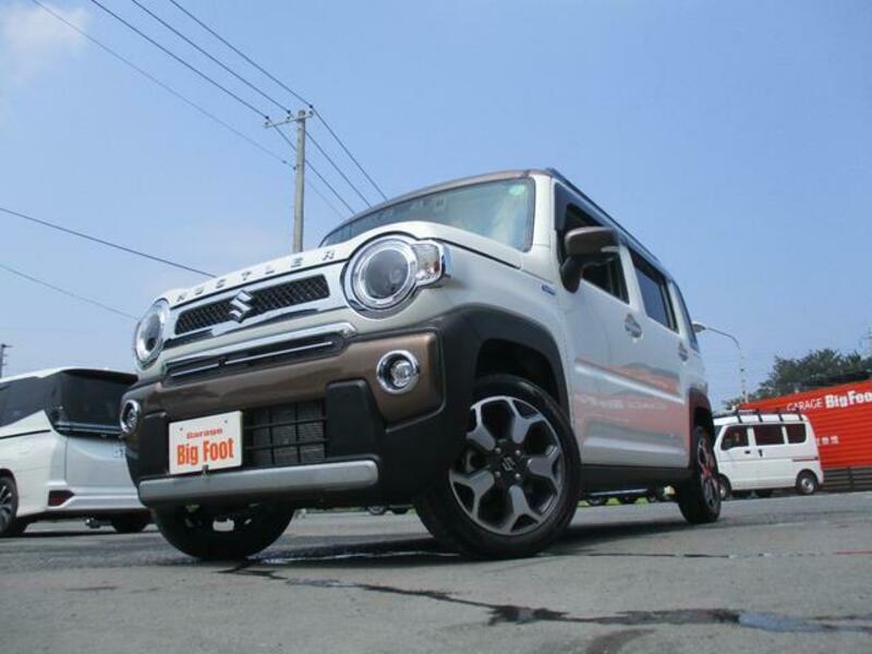 SUZUKI HUSTLER