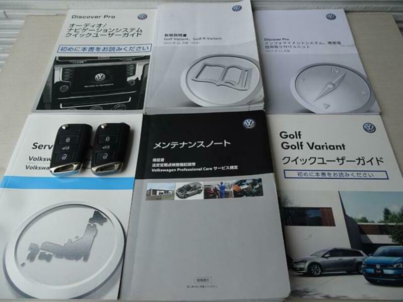 GOLF VARIANT
