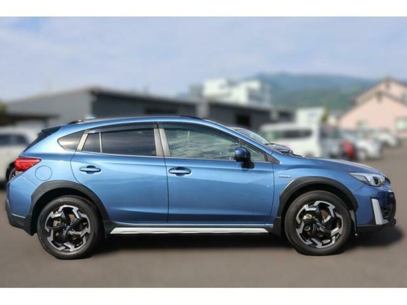 XV