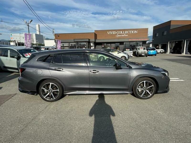 LEVORG