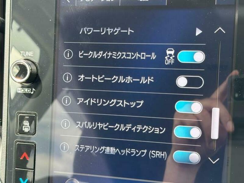 LEVORG
