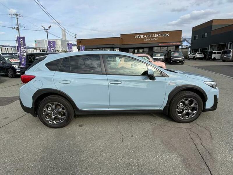 XV