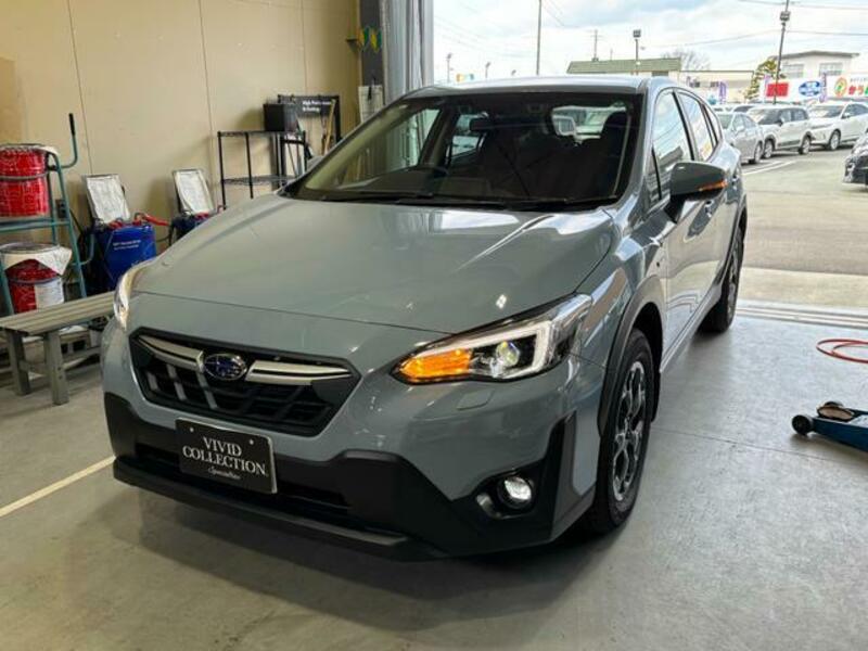 XV