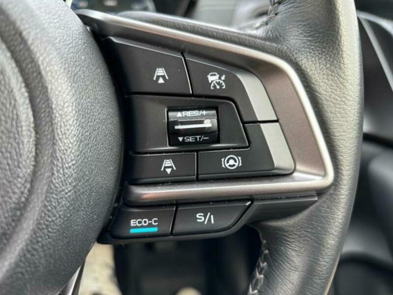 XV