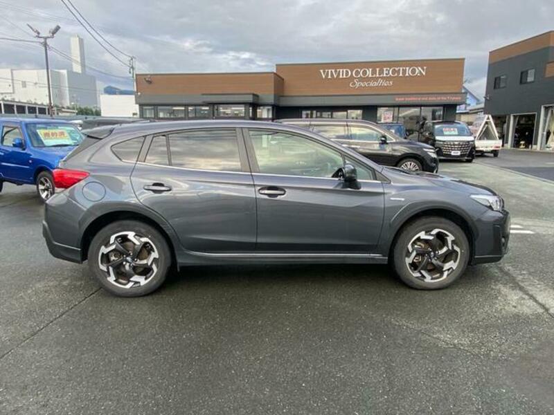 XV