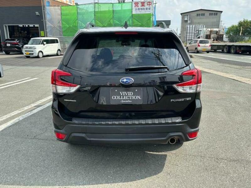 FORESTER