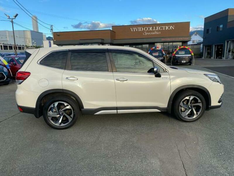 FORESTER