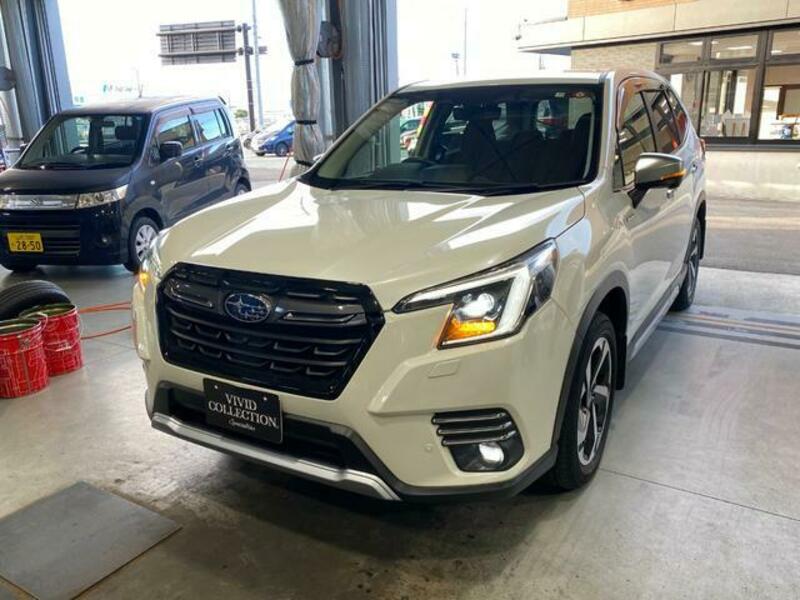 FORESTER