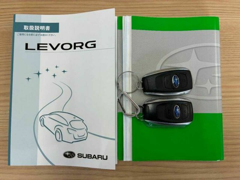 LEVORG