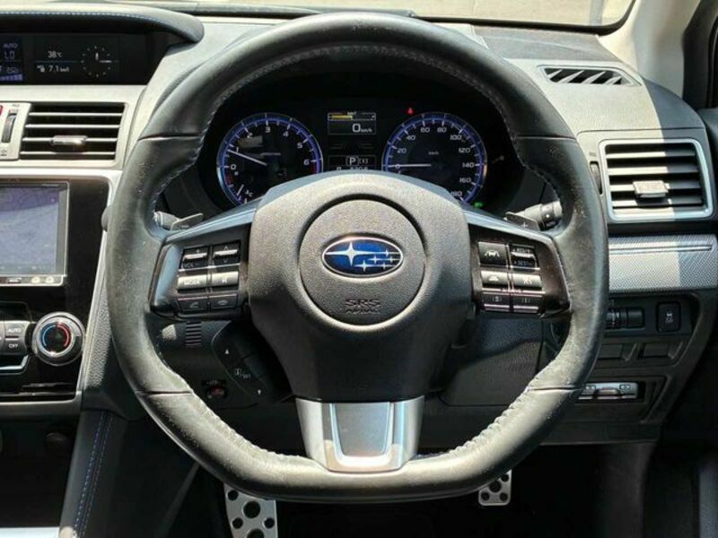 LEVORG