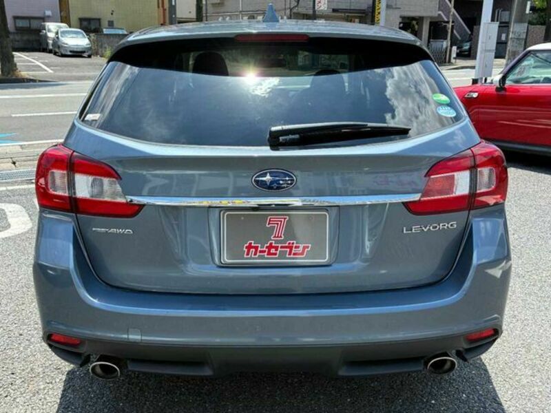 LEVORG