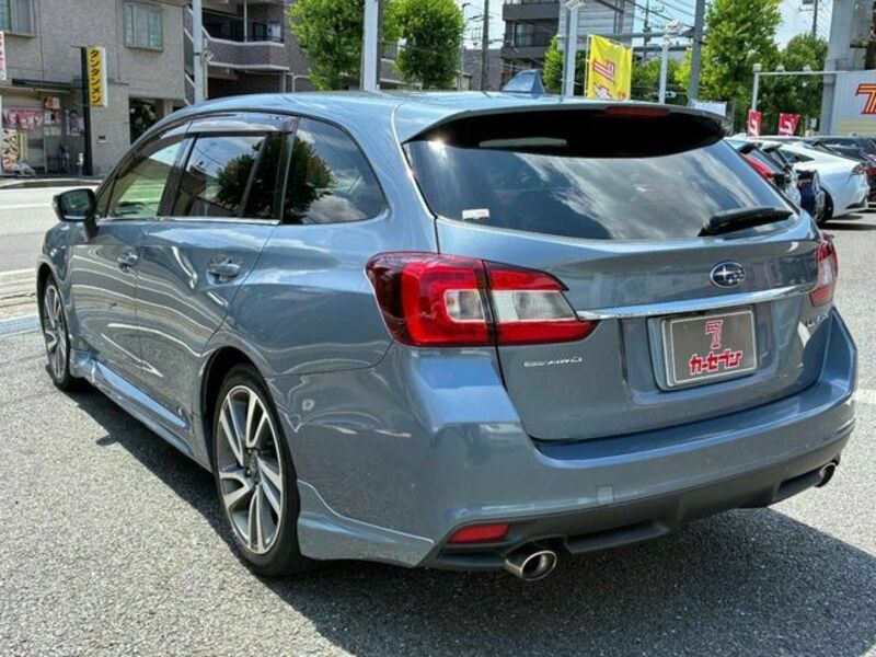 LEVORG