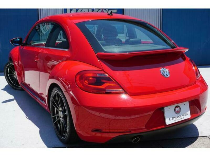 THE BEETLE