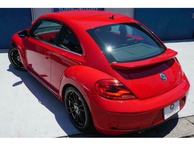 THE BEETLE