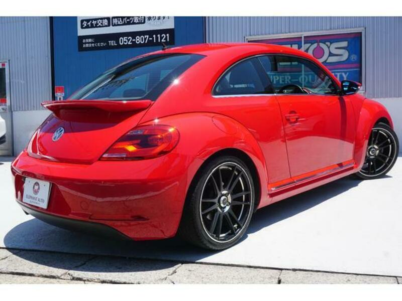 THE BEETLE