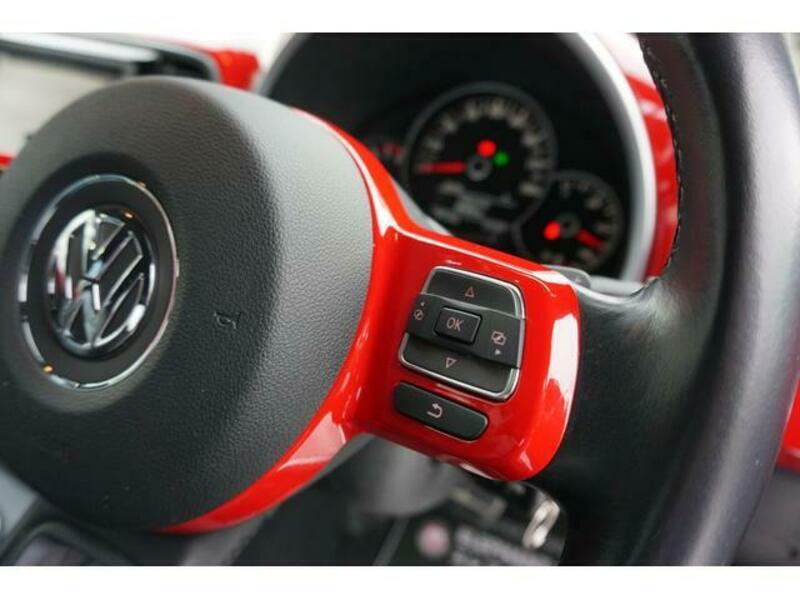 THE BEETLE