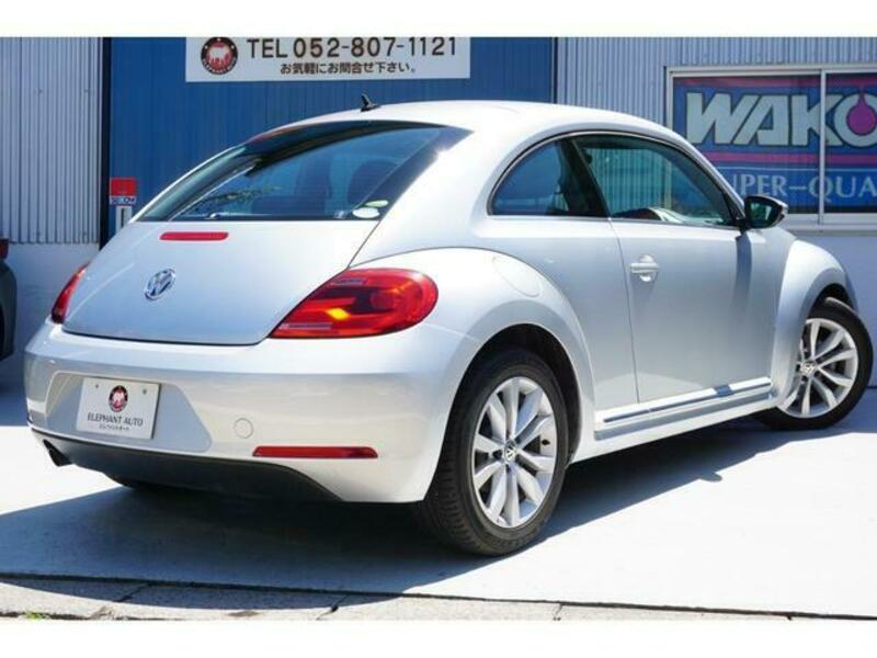 THE BEETLE
