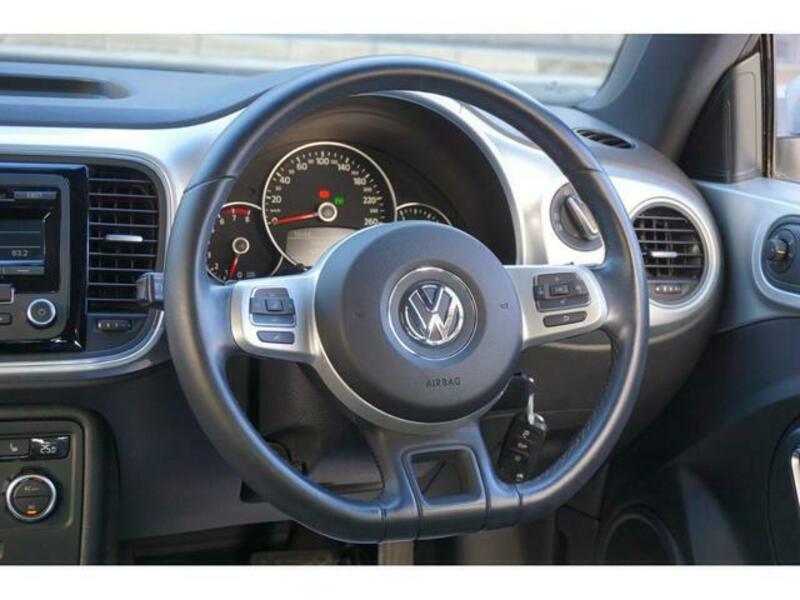 THE BEETLE