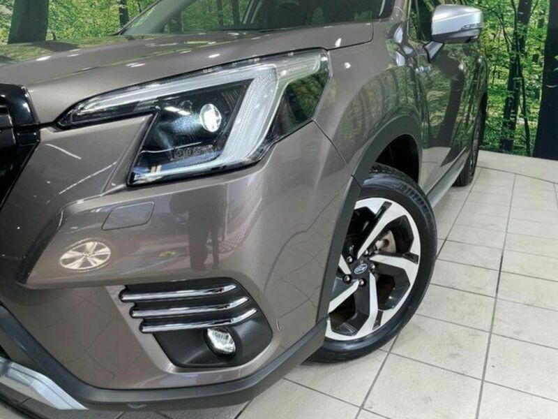 FORESTER