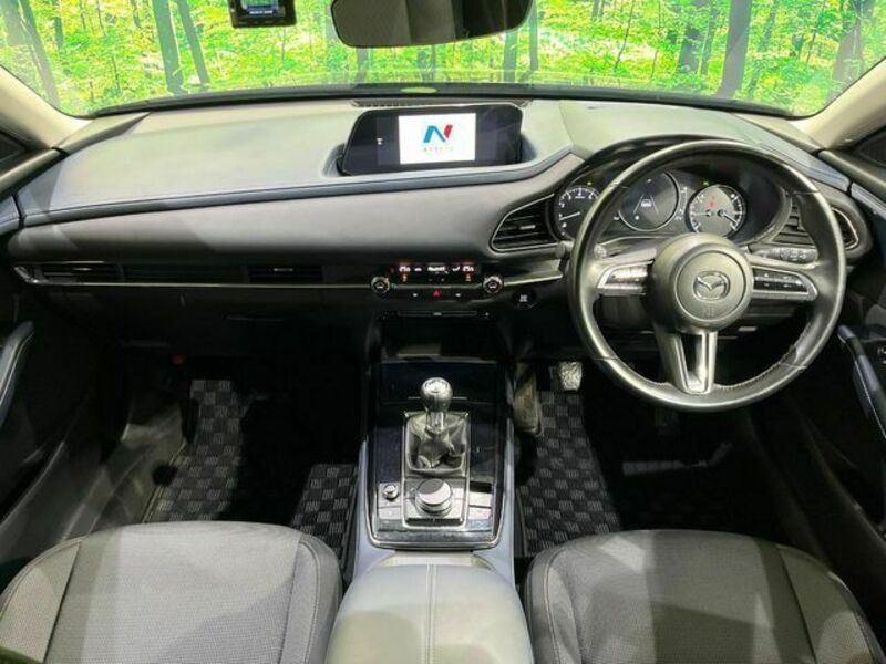 CX-30