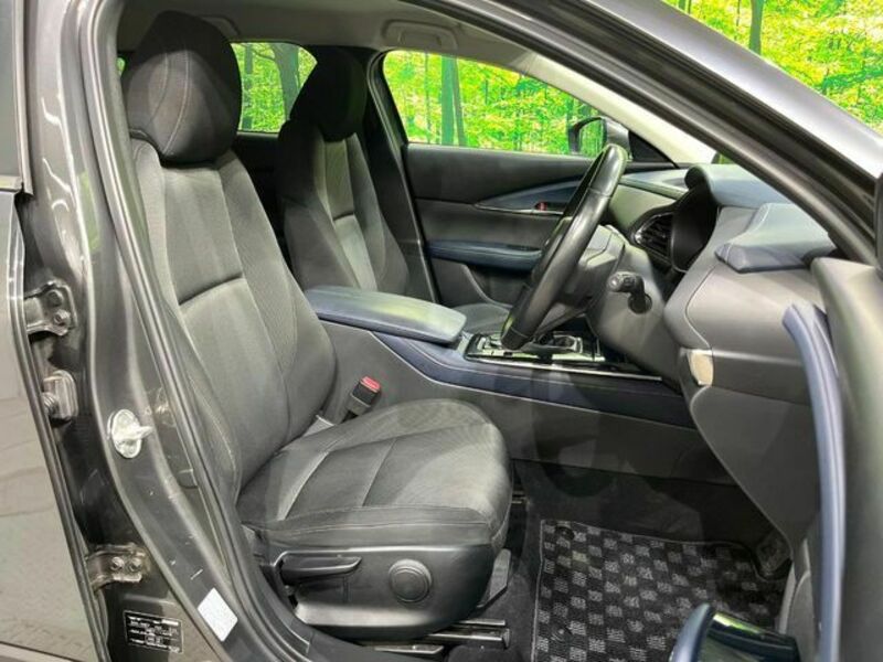 CX-30