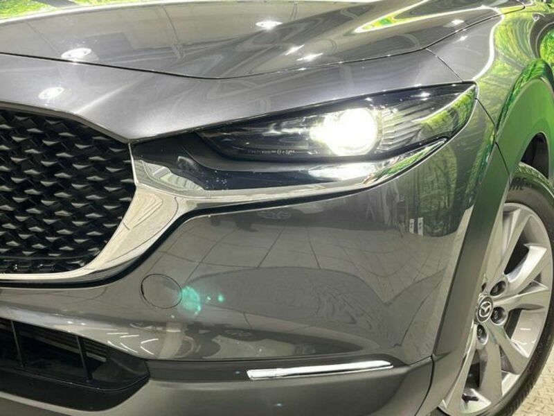 CX-30