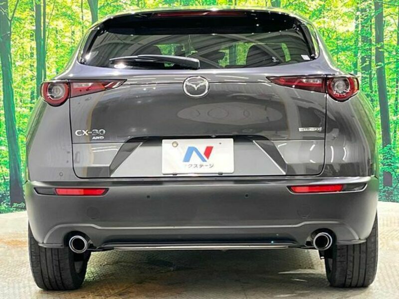 CX-30