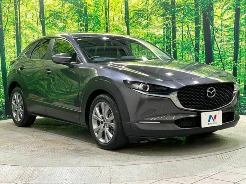 CX-30