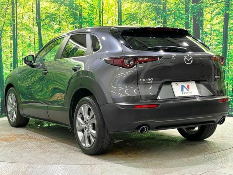 CX-30