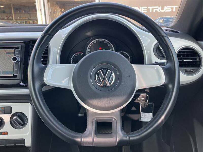 THE BEETLE