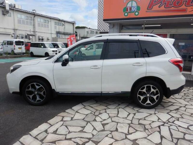 FORESTER
