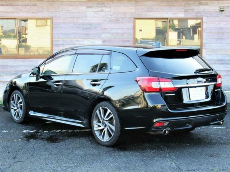 LEVORG