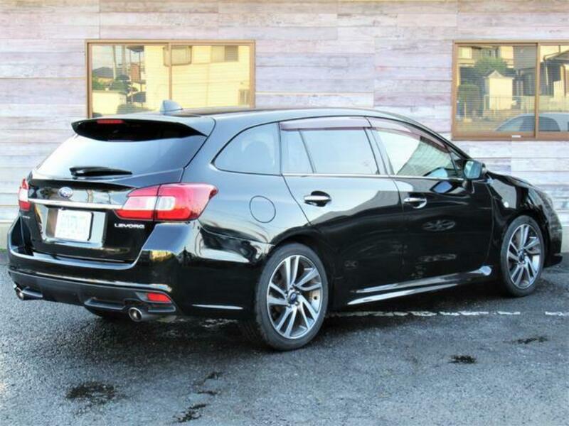 LEVORG