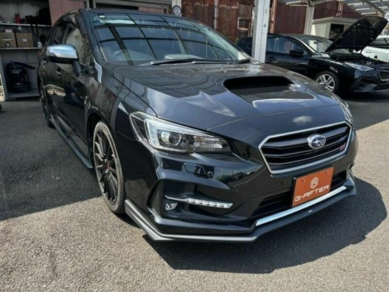 LEVORG-0