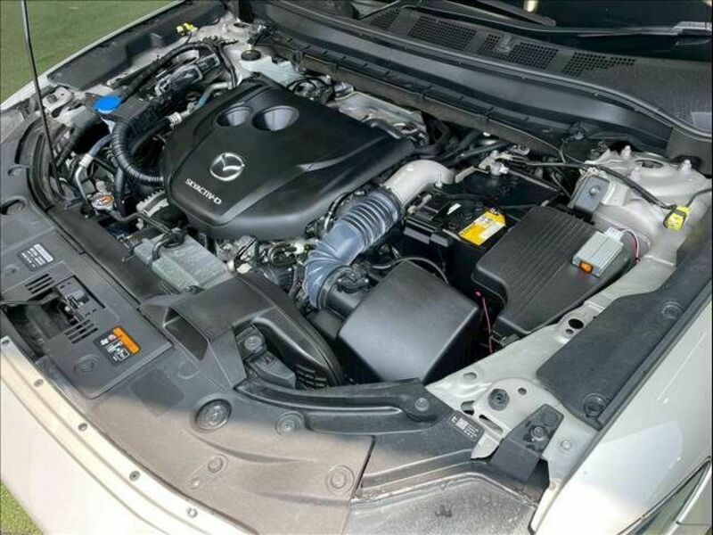 CX-8