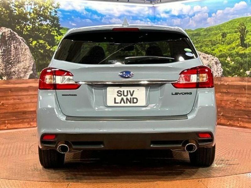 LEVORG
