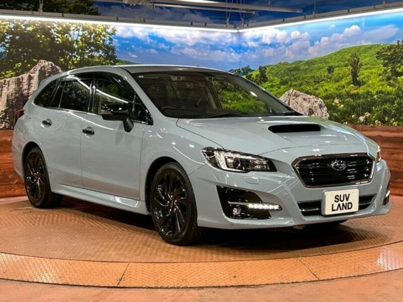 LEVORG