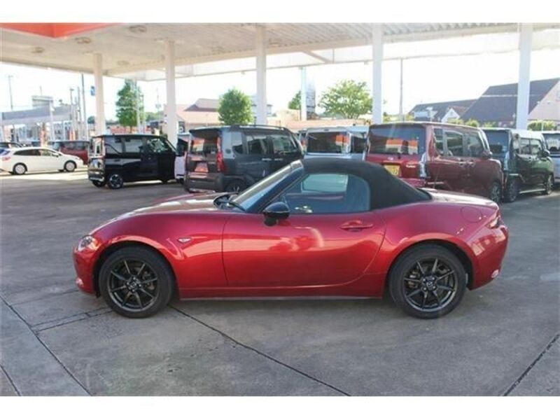ROADSTER