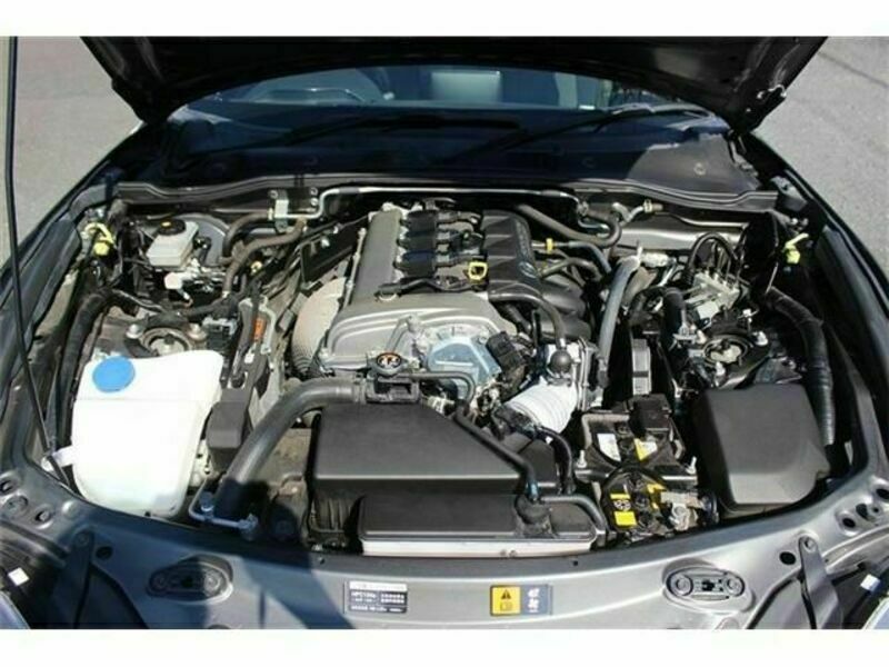 ROADSTER RF