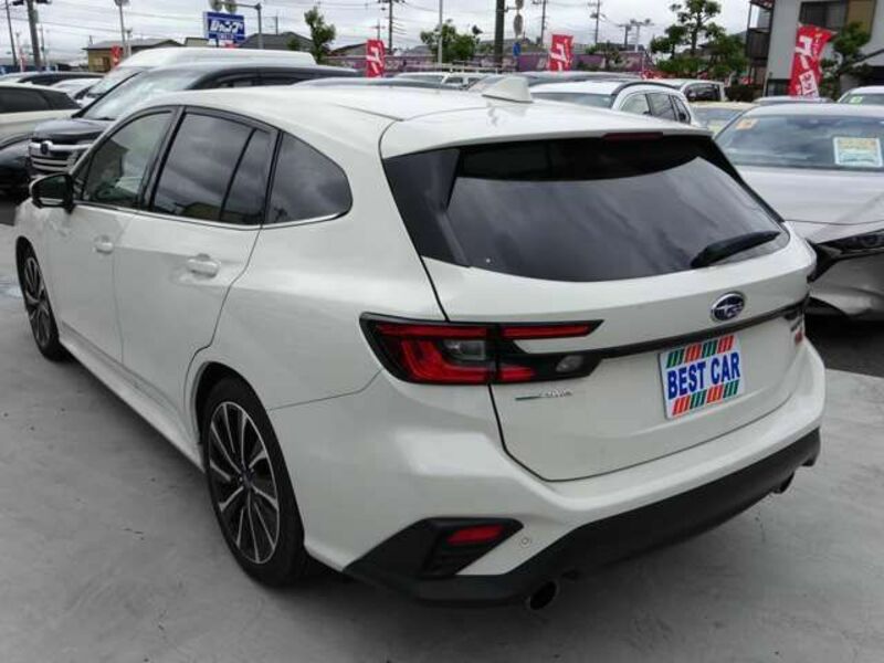 LEVORG